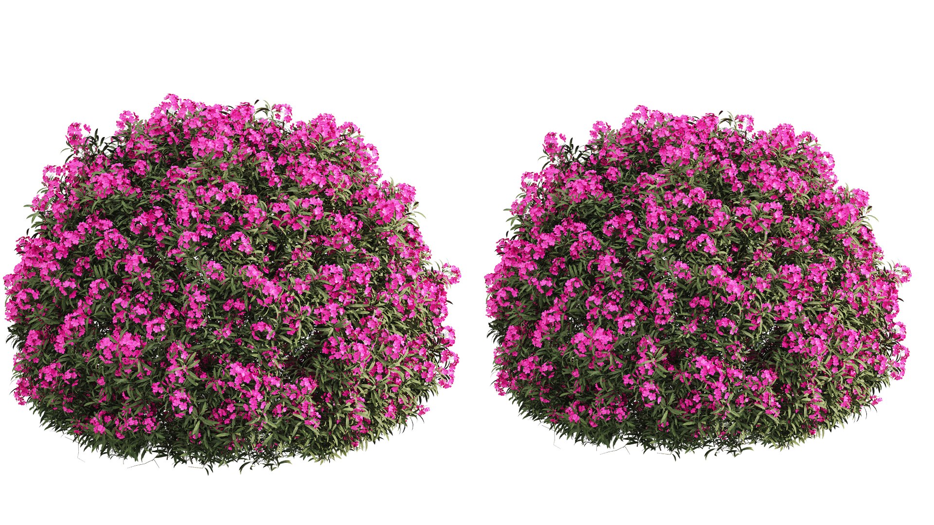 ourdoor plant 1 3D model https://p.turbosquid.com/ts-thumb/O2/PSX38l/w3/520240314t101158.947/png/1710400384/1920x1080/fit_q87/ff698db5028645859164f8c267a124facc5cd6ea/520240314t101158.947.jpg