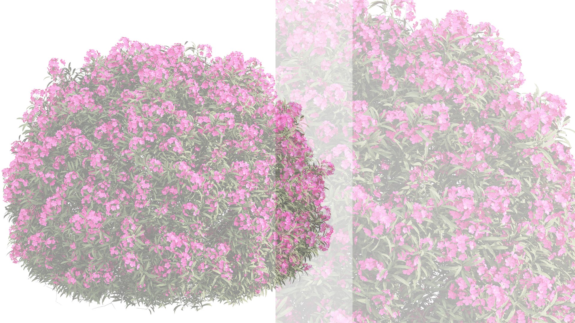 ourdoor plant 1 3D model https://p.turbosquid.com/ts-thumb/O2/PSX38l/z5/420240314t101119.388/png/1710400385/1920x1080/fit_q87/449f09ef5f03cc57d2a028fbe3ce867ca66418b6/420240314t101119.388.jpg