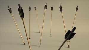 SPORT---ARCHERY---ARROW