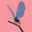 Boxy Butterfly Maya Rig