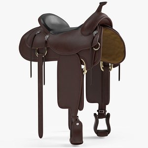 Horse Saddle 2 3D model