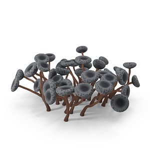 3D Physarum nutans mushrooms model