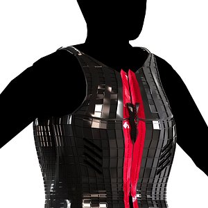 Bodyarmor 3D model
