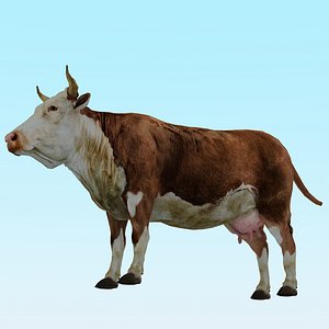 Low Poly Cow Model