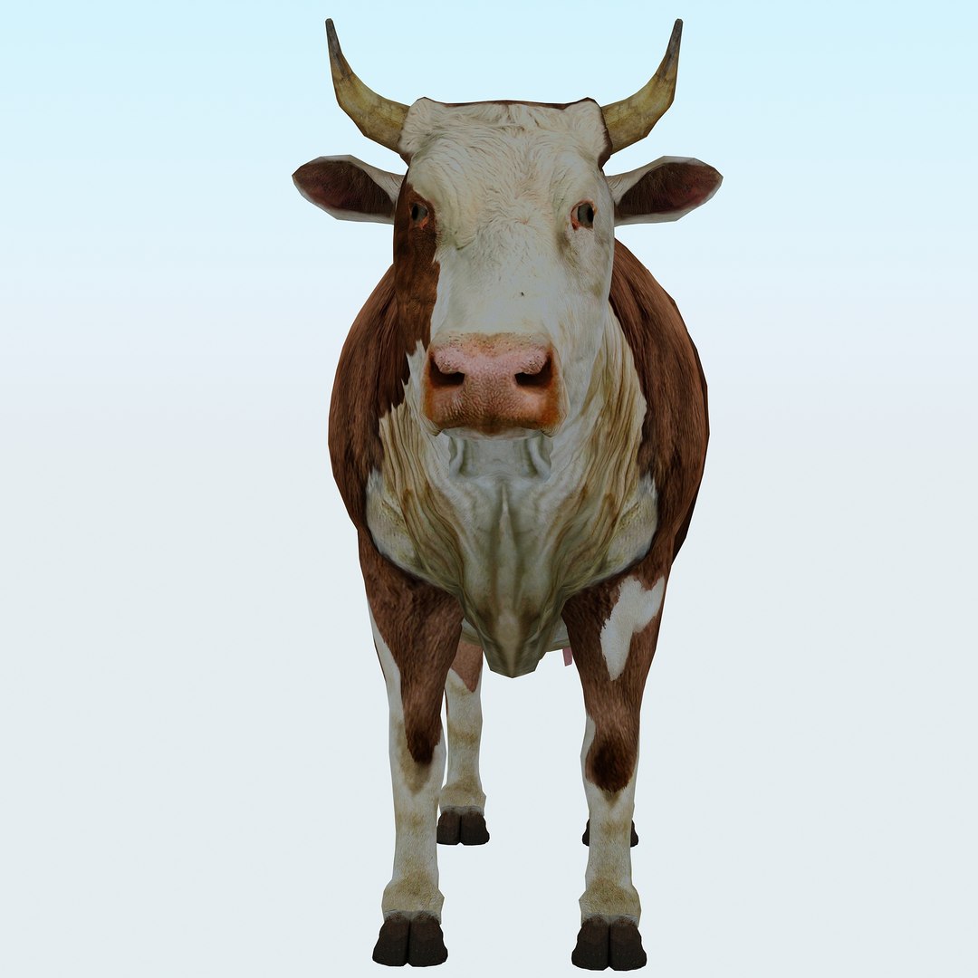 3D Model Cow - TurboSquid 1387644