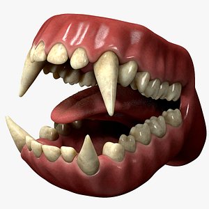 Realistic Gorilla Mouth Anatomy 3D model