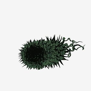 Bacterium with flagellae