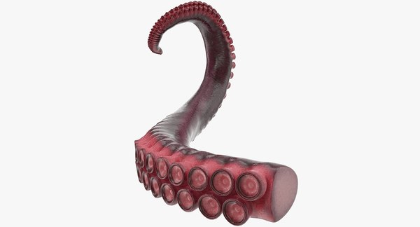 3D Model: Octopus Tentacle 02 ~ Buy Now #90893953