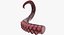 Tentacle of Octopus