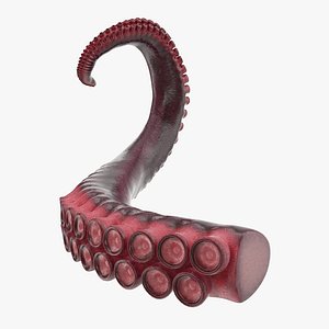 3d model tentacle octopus