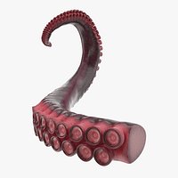 Tentacle of Octopus