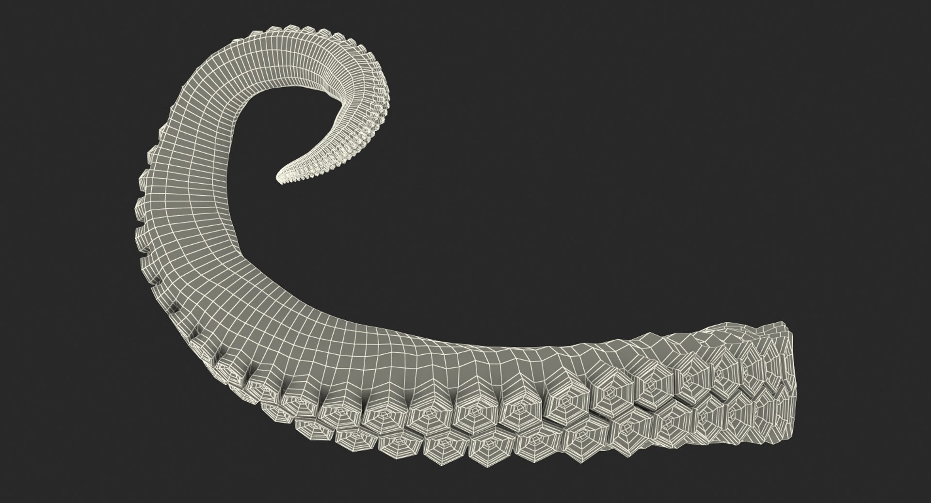 3d model tentacle octopus https://p.turbosquid.com/ts-thumb/O2/nlCuh4/htHbtXpV/tentacleofoctopus3dsmodel016/jpg/1476874640/1920x1080/fit_q87/0cb62506ece61375a22692f618b536c7acdce7ea/tentacleofoctopus3dsmodel016.jpg