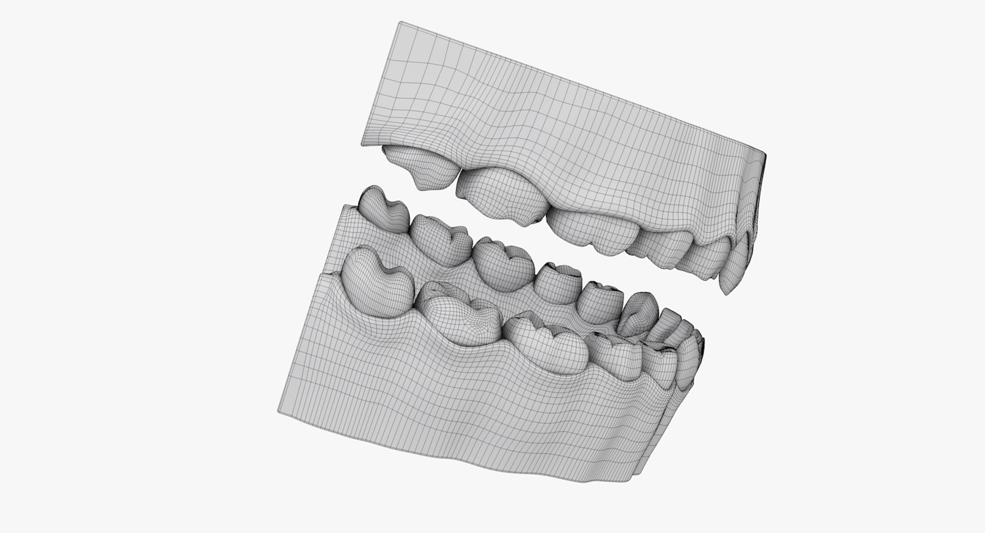 3D model gums teeth anatomy https://p.turbosquid.com/ts-thumb/O3/FN2KDL/1edplgzl/dentureuvimage2/jpg/1523992326/1920x1080/fit_q87/cca726fcd8b4545bfe934af7e11f7a263c30414a/dentureuvimage2.jpg