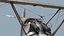 Sopwith F.1 Kamel