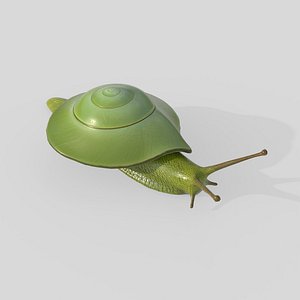 Rhinocochlis nasuta V2