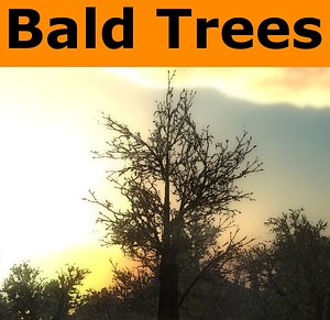 ready bald tree pack 3d model