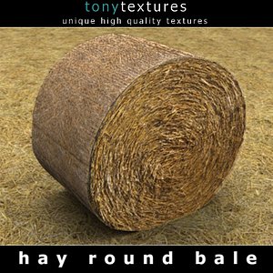 3d hay bale