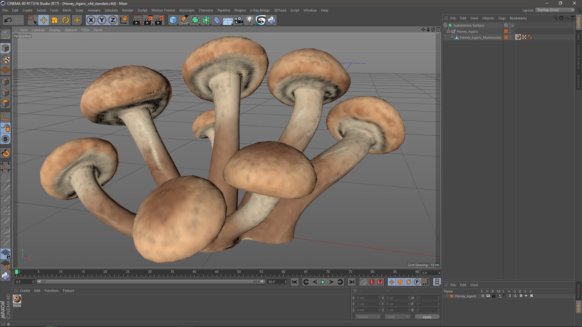 3D Honey Agaric model https://p.turbosquid.com/ts-thumb/O3/nCFY6V/55/honeyagaricvray3dmodel023/jpg/1713265276/1920x1080/fit_q87/c9a1e04d0398b3a961934f7a2bb537944d60a751/honeyagaricvray3dmodel023.jpg