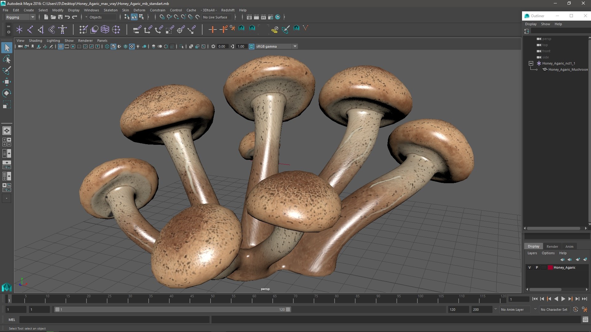 3D Honey Agaric model https://p.turbosquid.com/ts-thumb/O3/nCFY6V/Ht/honeyagaricvray3dmodel024/jpg/1713265278/1920x1080/fit_q87/10473c21386be32b357e5c3fbb6089f50a84cb6d/honeyagaricvray3dmodel024.jpg