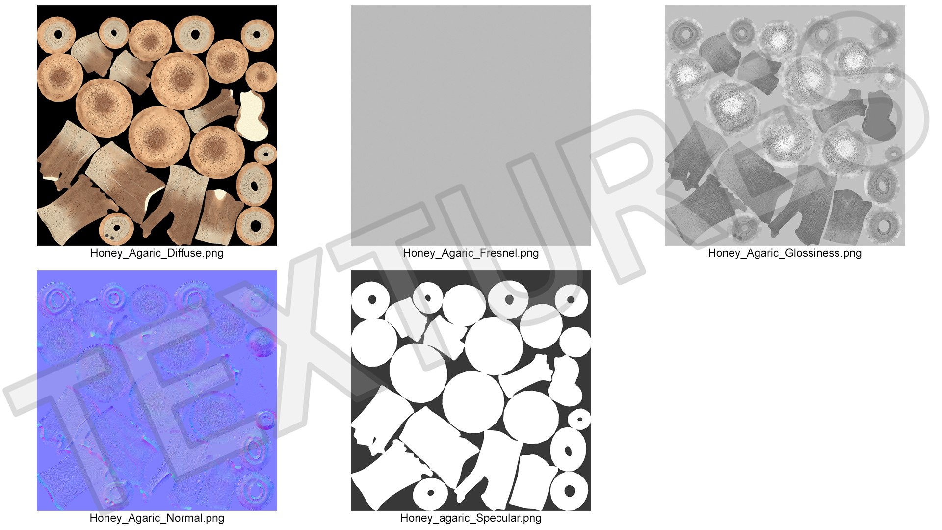 3D Honey Agaric model https://p.turbosquid.com/ts-thumb/O3/nCFY6V/Qj/honeyagaricvray3dmodel019/jpg/1713265265/1920x1080/fit_q87/bb3b8cb2f77b8541e465128ce4c6d24235f2af71/honeyagaricvray3dmodel019.jpg