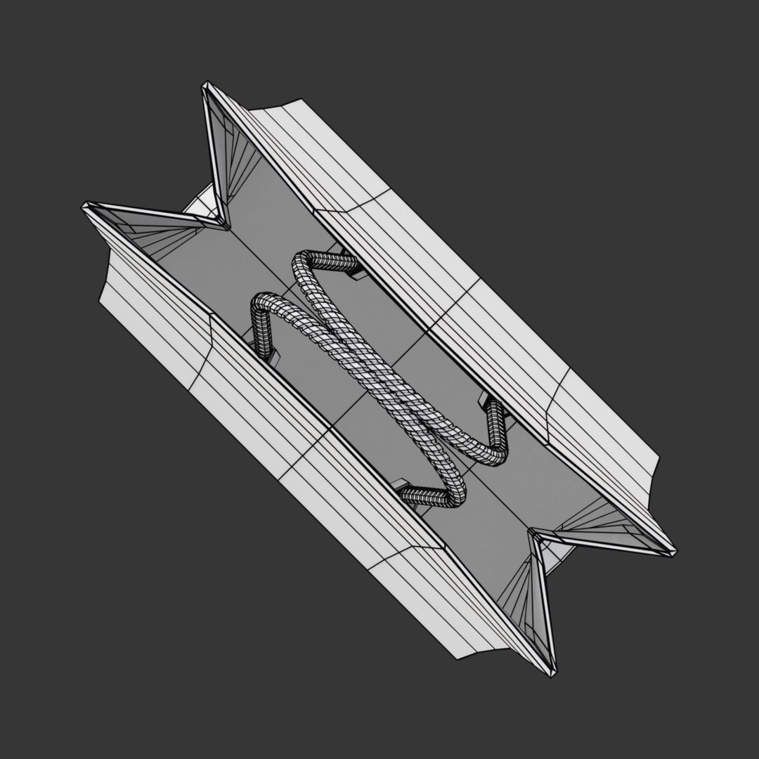Bag Shopping Model - TurboSquid 1301149