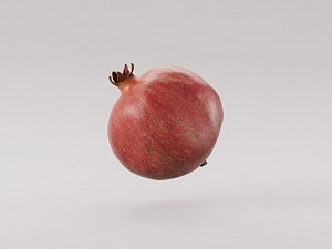 3D model Pomegranate fruit 3d model