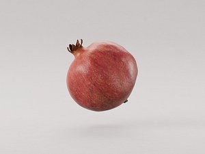 Pomegranate fruit 3d model