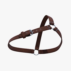 Punk Harnes 16 3D model