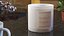 Scented Candle Beige