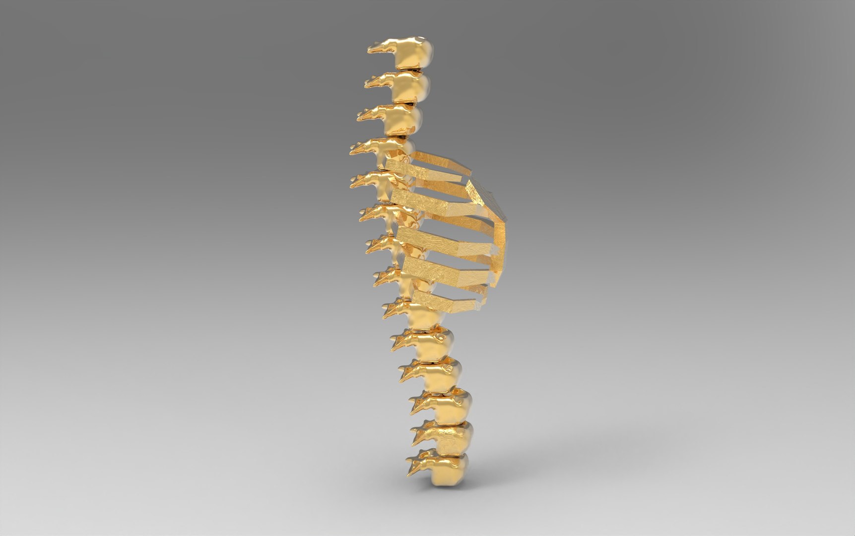3D Model Vertebrae And Chest - TurboSquid 1990209