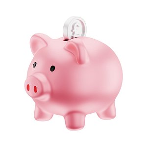 Coin Pound Pig Bank Icon
