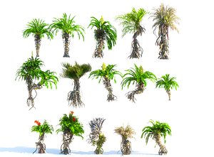 3D prehistoric plants model