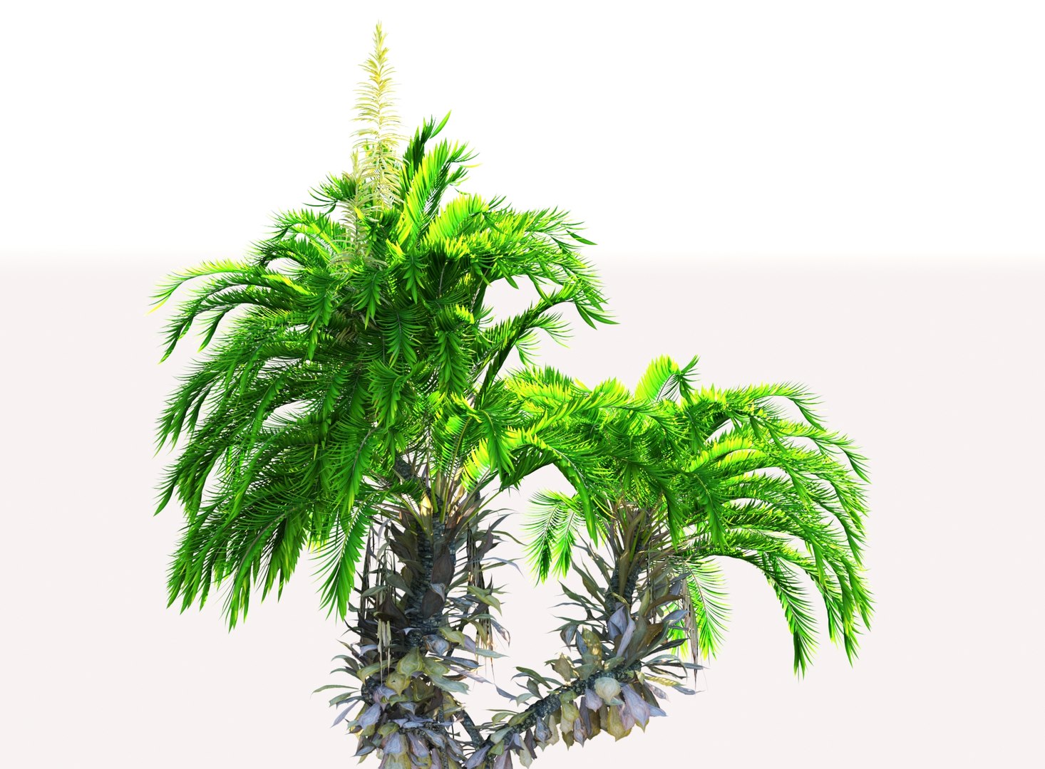 3D prehistoric plants model https://p.turbosquid.com/ts-thumb/O4/TqUoAG/B6EJCTf5/767854/jpg/1609773094/1920x1080/fit_q87/59f9e82cf489d15b2dab5640866db82654a43622/767854.jpg