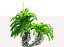 Plantes préhistoriques animées