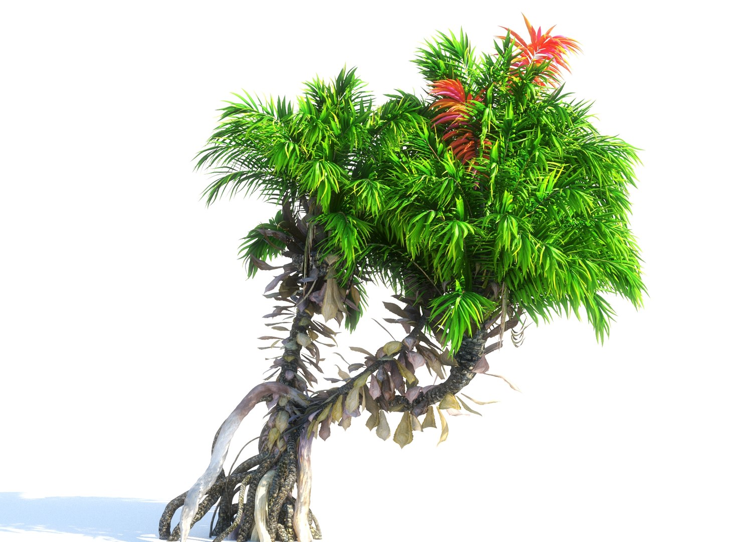 3D prehistoric plants model https://p.turbosquid.com/ts-thumb/O4/TqUoAG/ClWyNyeE/76788/jpg/1609773094/1920x1080/fit_q87/55202152491ab3be92428c00b052e553f00516c4/76788.jpg
