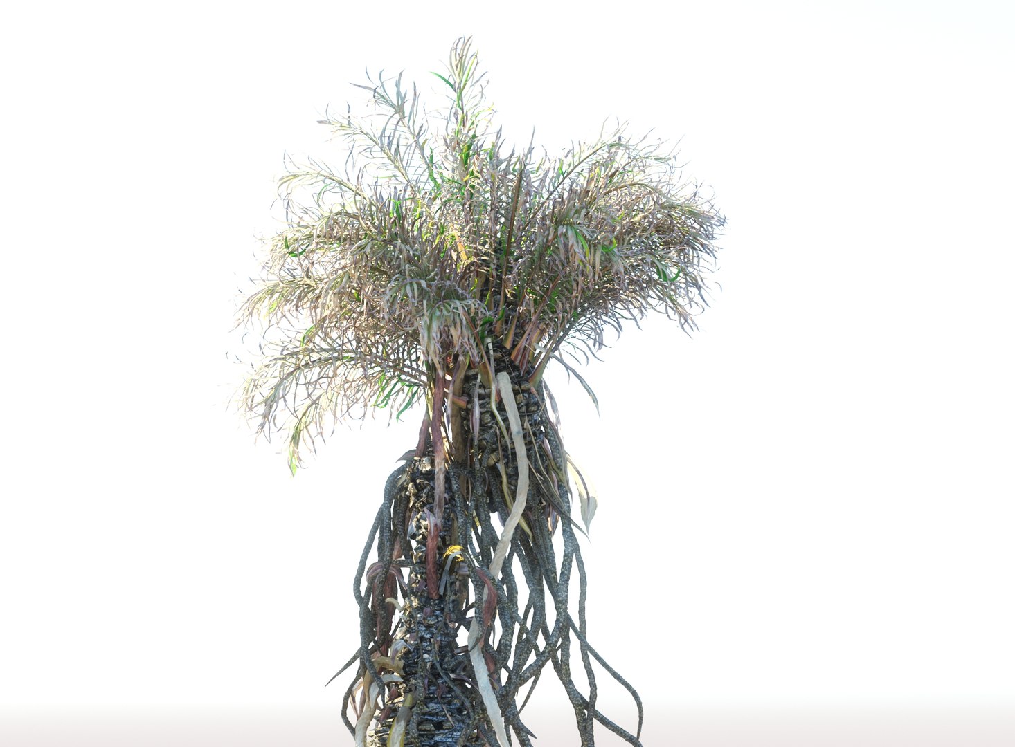3D prehistoric plants model https://p.turbosquid.com/ts-thumb/O4/TqUoAG/MbvX86hX/77868/jpg/1609773094/1920x1080/fit_q87/91f6176fc6471f1d2b1e70bf109d7751b566d9e0/77868.jpg