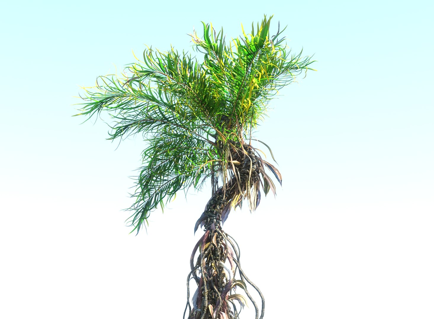 3D prehistoric plants model https://p.turbosquid.com/ts-thumb/O4/TqUoAG/Tr6QUhkr/8899/jpg/1609773094/1920x1080/fit_q87/c655b01489ba1b2b6906c4cbe96748b2fb31335c/8899.jpg