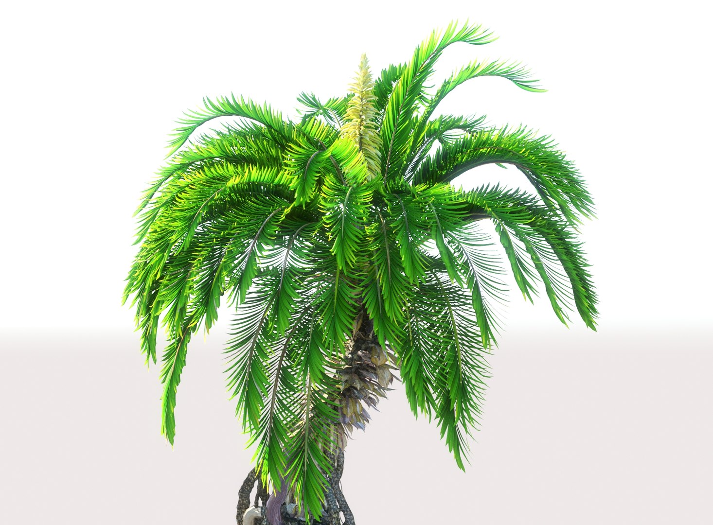 3D prehistoric plants model https://p.turbosquid.com/ts-thumb/O4/TqUoAG/eTdQzaRo/767865556/jpg/1609773094/1920x1080/fit_q87/dd223cde582d99acf096e21c602d3141be49a58d/767865556.jpg