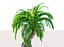 Plantes préhistoriques animées