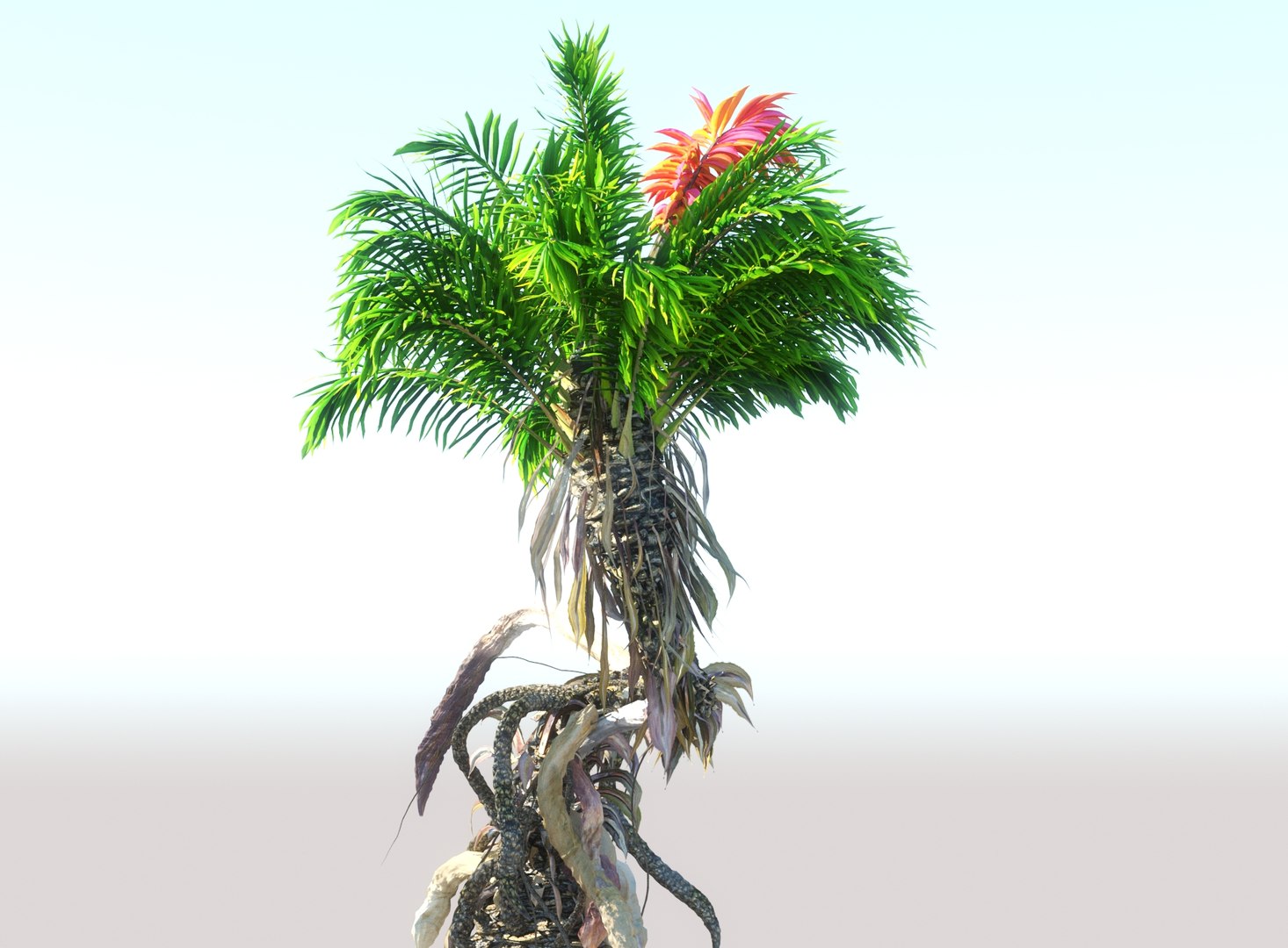 3D prehistoric plants model https://p.turbosquid.com/ts-thumb/O4/TqUoAG/hv0Pu7KG/767886/jpg/1609773094/1920x1080/fit_q87/1e84ffe07662fe37e5f4d89f2adfdb5bd47b5cf6/767886.jpg