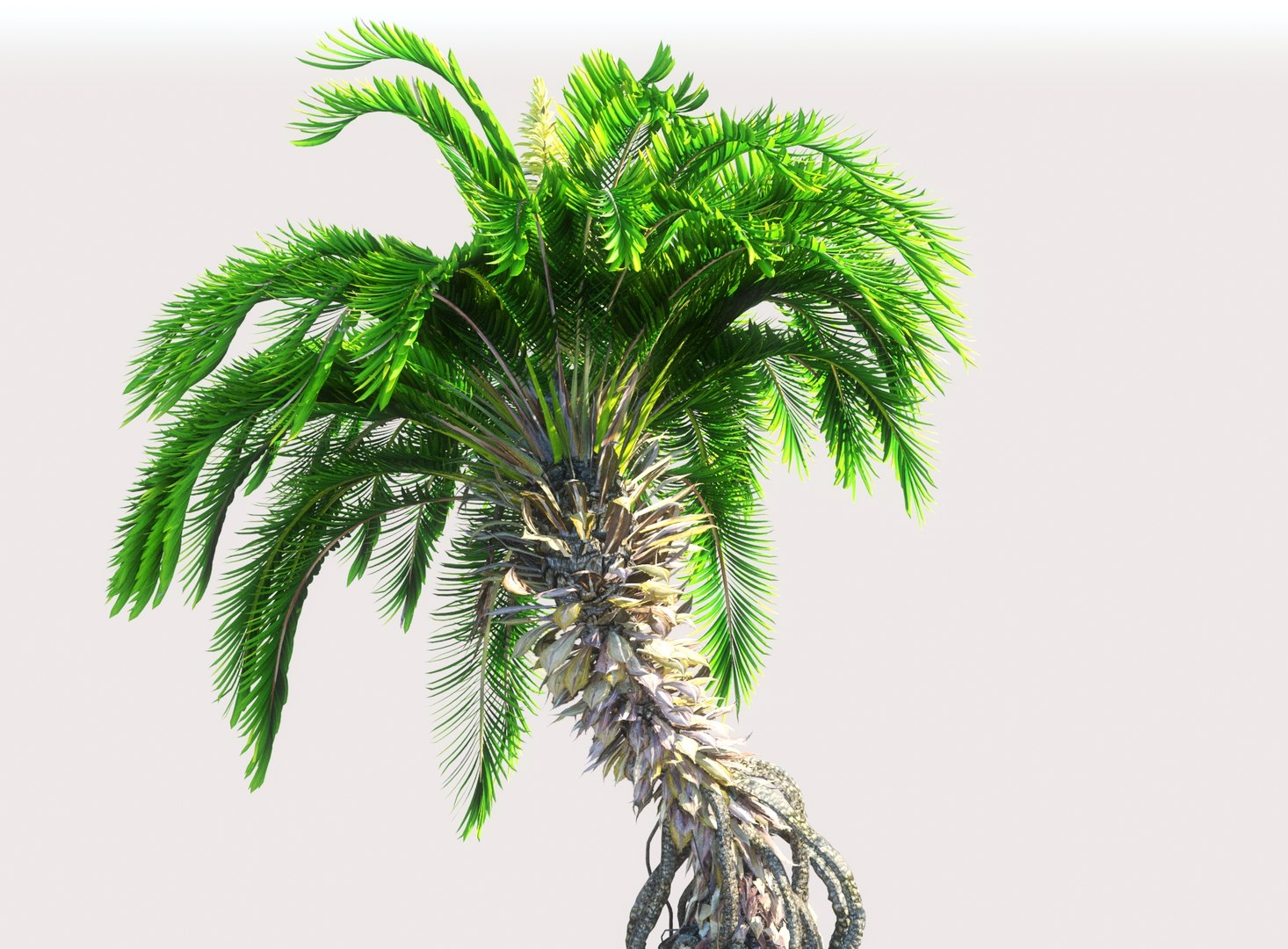 3D prehistoric plants model https://p.turbosquid.com/ts-thumb/O4/TqUoAG/l8LbiXv4/7678855/jpg/1609773094/1920x1080/fit_q87/3c84a5b7b653860a98c3d2990d542836aa7335dc/7678855.jpg