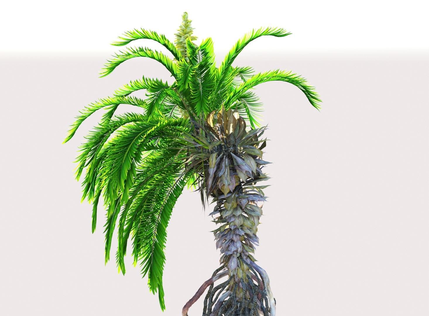 3D prehistoric plants model https://p.turbosquid.com/ts-thumb/O4/TqUoAG/neVPQ0RD/8789966/jpg/1609773094/1920x1080/fit_q87/3ac36de48b5a8c16e2b42d2f4e12b3ed2f965ae1/8789966.jpg