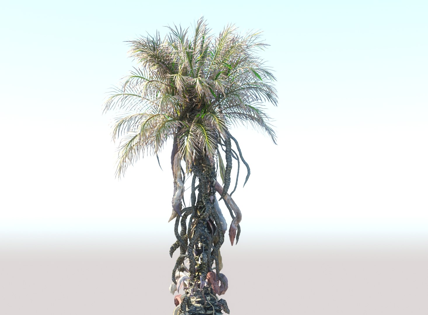 3D prehistoric plants model https://p.turbosquid.com/ts-thumb/O4/TqUoAG/tKIEqW3c/7866/jpg/1609773094/1920x1080/fit_q87/90fdb63e3f2b93276be387bc3c19c0641048c7a8/7866.jpg