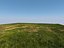 Villa 2 plus Vray grass presets