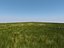 Villa 2 plus Vray grass presets