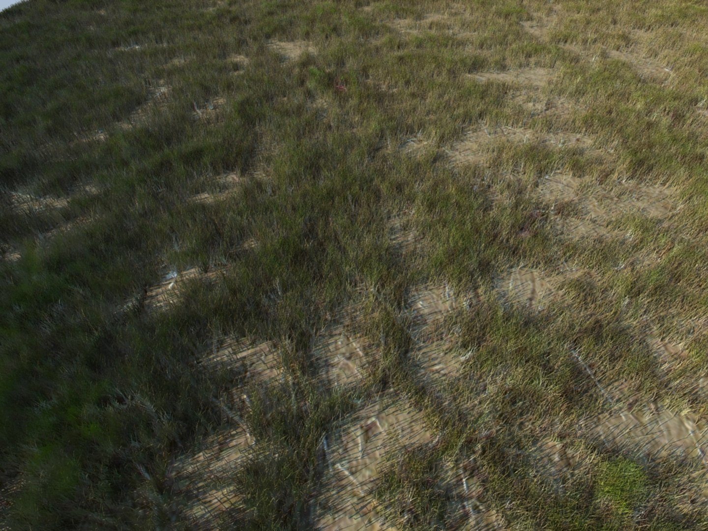 house grass realistic 3d max https://p.turbosquid.com/ts-thumb/O4/XJJwiO/1GkolNTa/grass3_002/jpg/1420710530/1920x1080/fit_q87/f3aa9f832cf89b5ac03cff52be98be8718dd8b6e/grass3_002.jpg