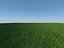 Villa 2 plus Vray grass presets