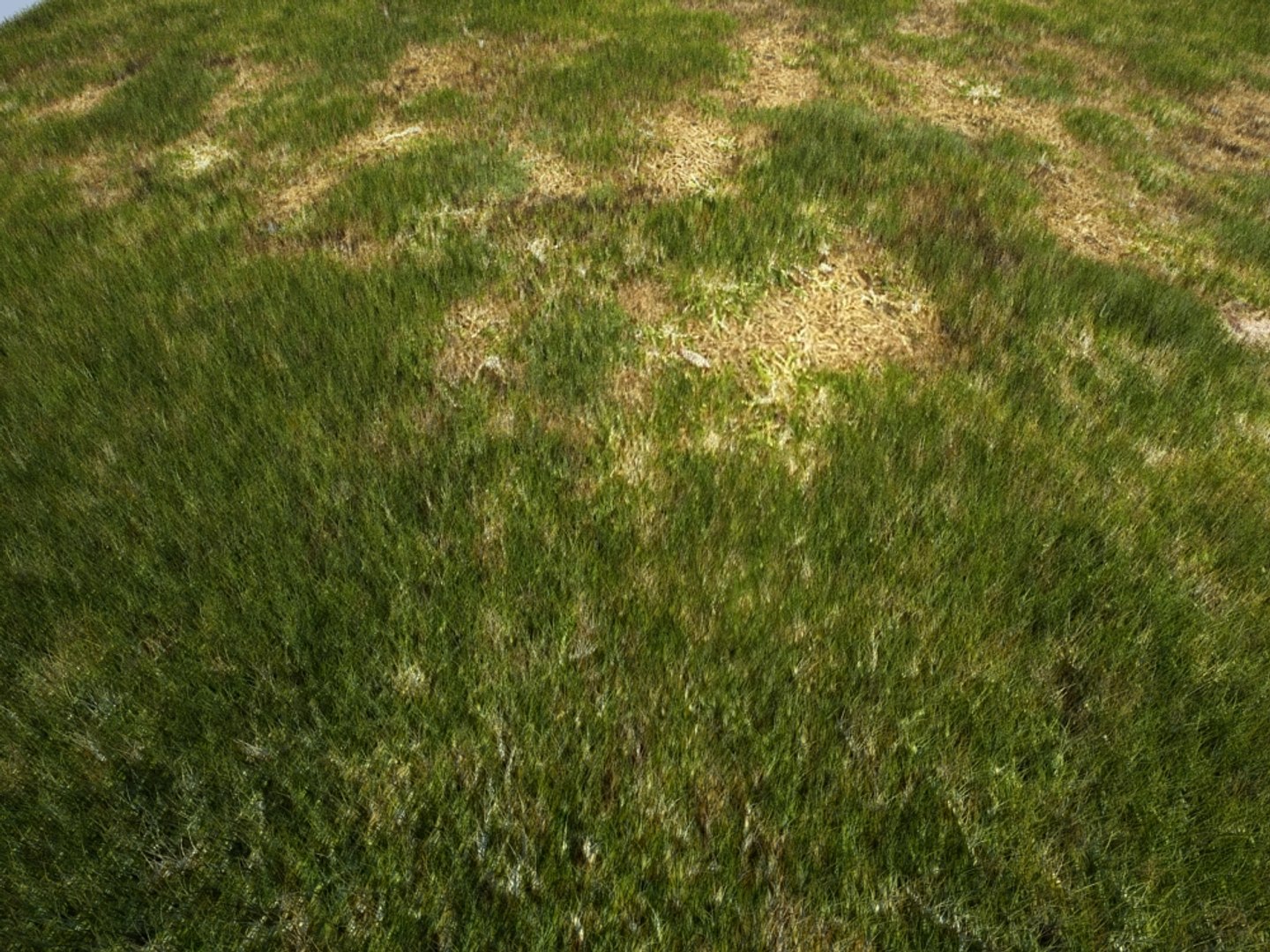house grass realistic 3d max https://p.turbosquid.com/ts-thumb/O4/XJJwiO/9LmsFr87/grass1_002/jpg/1420710530/1920x1080/fit_q87/418a3824d47586450a58798c3f08f31d0d5bd09a/grass1_002.jpg