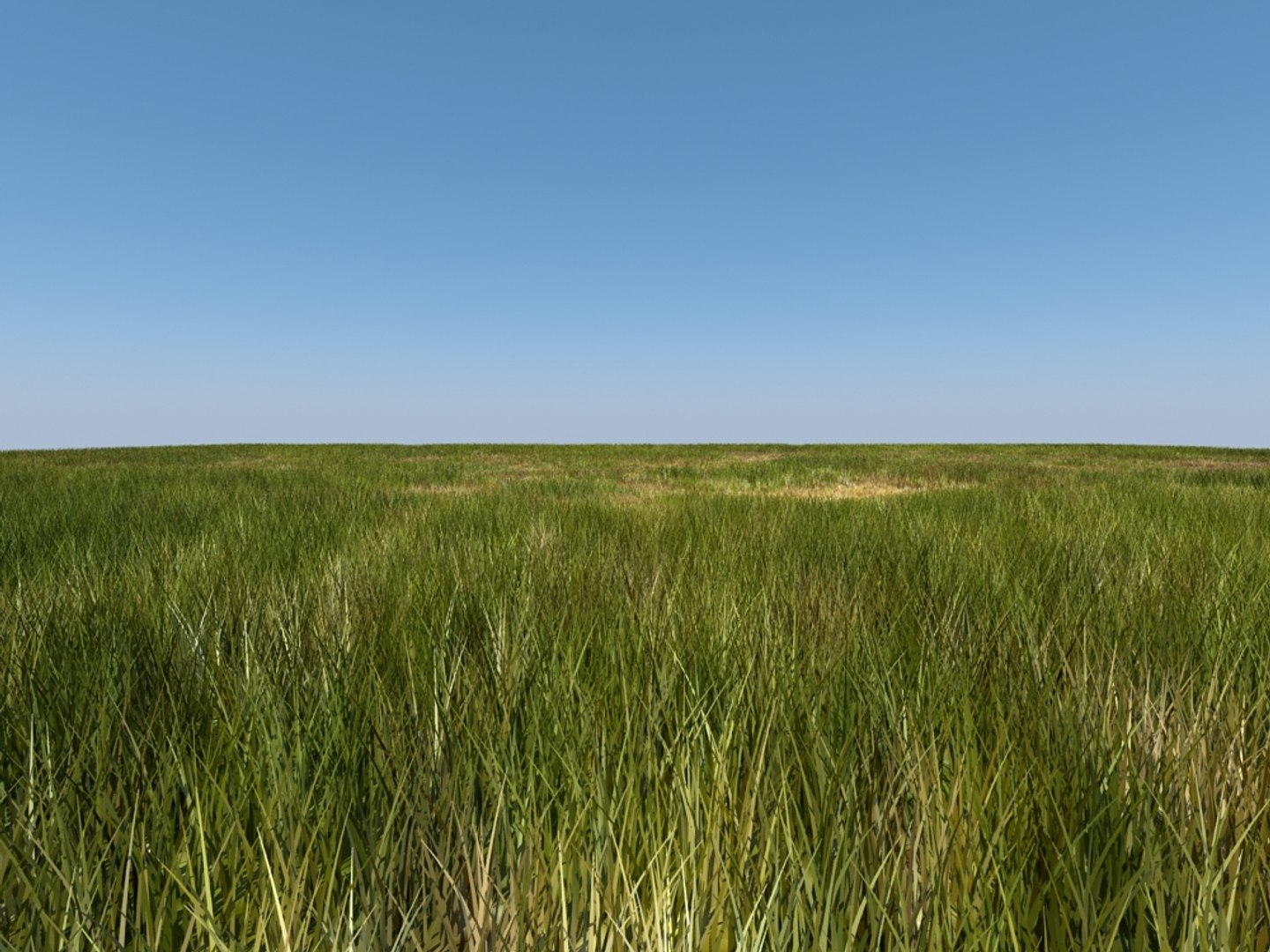 house grass realistic 3d max https://p.turbosquid.com/ts-thumb/O4/XJJwiO/ATag5cQn/grass1_003/jpg/1420710530/1920x1080/fit_q87/6707454bb1a719032b222992bb897b8533eb47e3/grass1_003.jpg