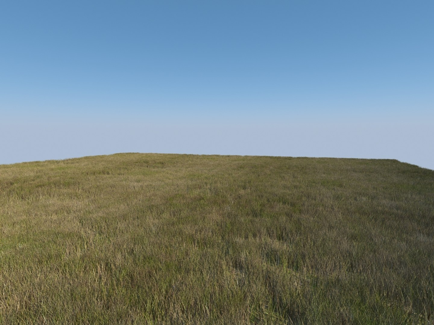 house grass realistic 3d max https://p.turbosquid.com/ts-thumb/O4/XJJwiO/BOhruRDZ/grass3_004/jpg/1420710530/1920x1080/fit_q87/96820cc4a3a5b6926491ff88c444fde0f6b62ea9/grass3_004.jpg